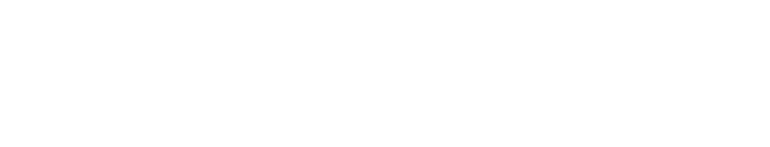 INSonar Logo